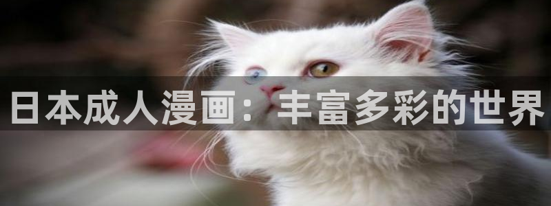喵趣漫画老版本