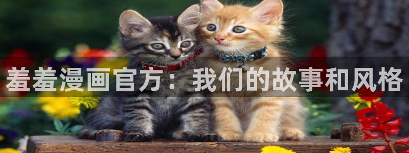 喵趣漫画正版最新版