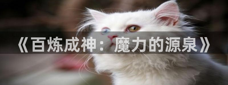 《喵趣漫画》