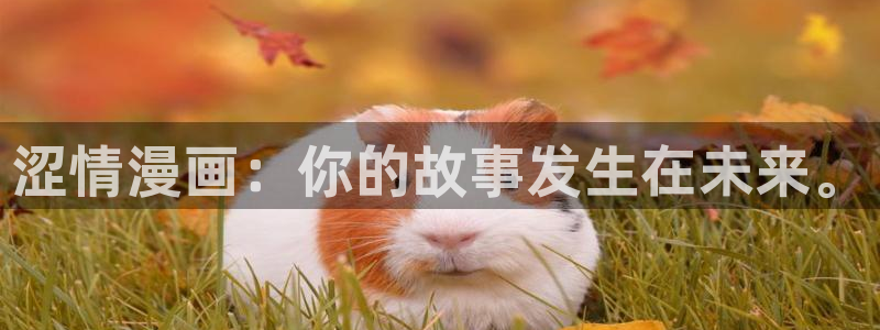 喵趣漫画官网入口