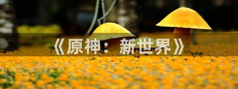 喵趣漫画官网下载入口