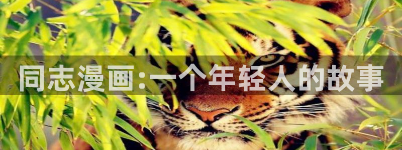 喵趣漫画新版